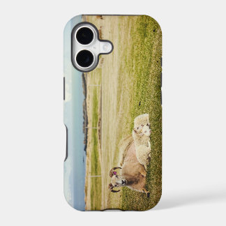 Étui iPhone pour mouton islandais