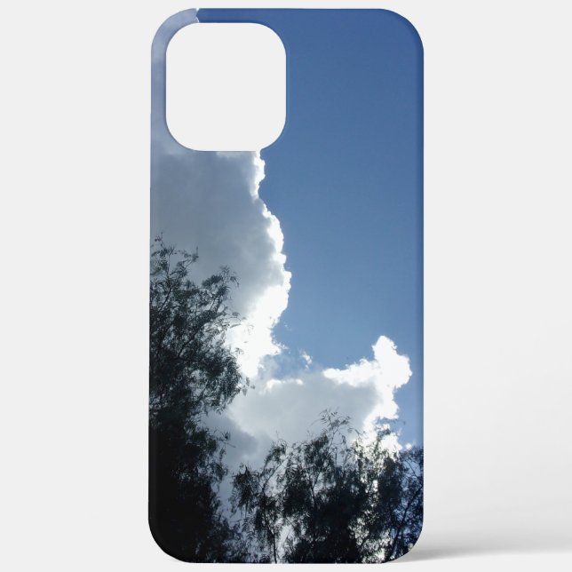 étui pour Apple iPhone 12 Pro Max art et design  (Verso)
