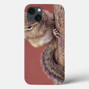 Étui pour iPad Chippie