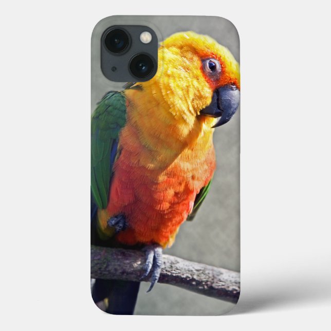 Étui pour iPad Conure Jenday (Verso)