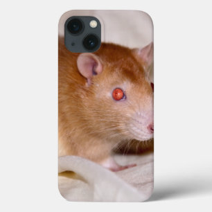Étui pour iPad Rolando