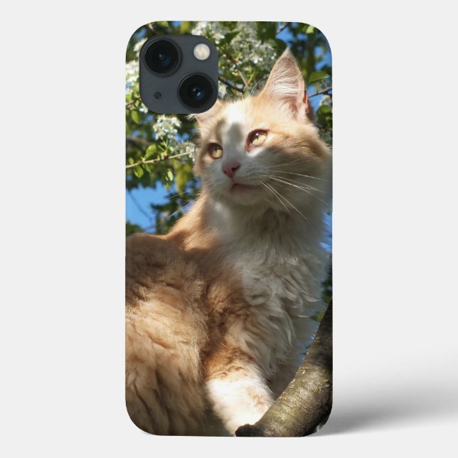 Étui pour iPad Sahara Cat In A Tree (Verso)