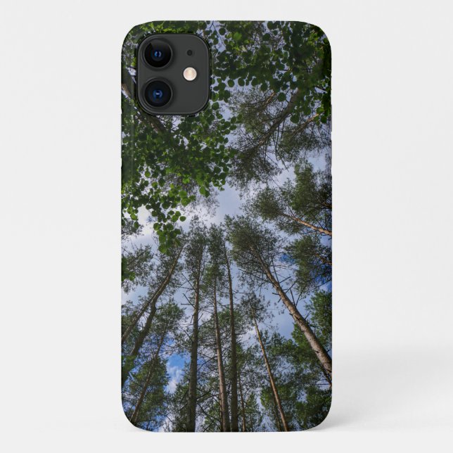 Étui pour iPhone 11 Arbres de forêt Ciel Bélarus N (Dos)
