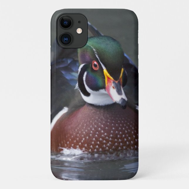Étui pour iPhone 11 Canard branchu américain (Dos)