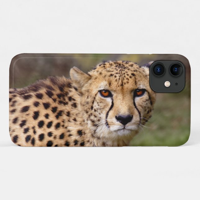 Étui pour iPhone 11 Cheetah (Dos (Horizontal))
