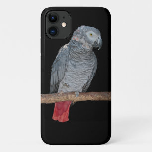 Étui pour iPhone 11 Perroquet Importun