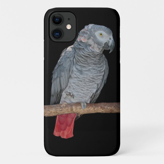 Étui pour iPhone 11 Perroquet Importun (Dos)