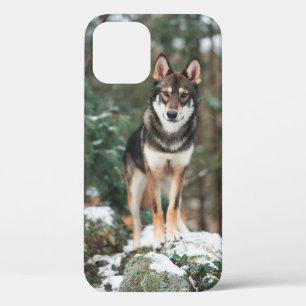 Étui pour iPhone 12 Wolfdog