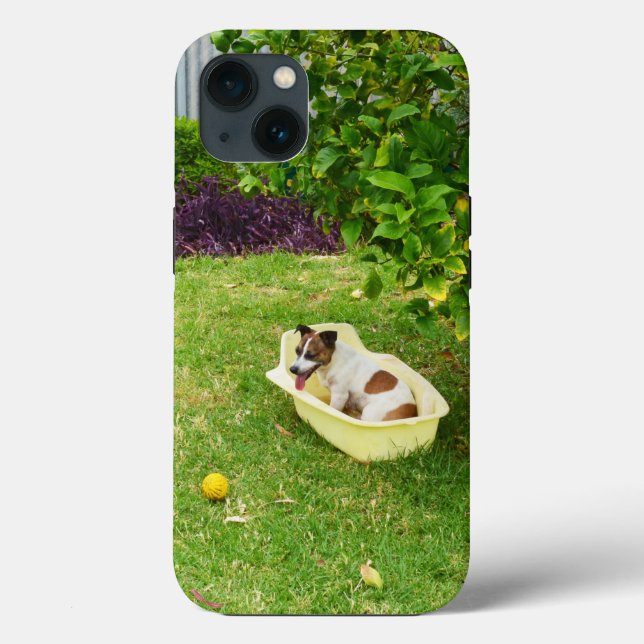Étui pour iPhone 13, Charlie le renard terrier au  (Verso)
