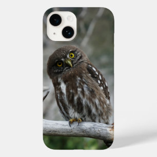 Étui pour iPhone 14 à l'effigie de la chouette pyg