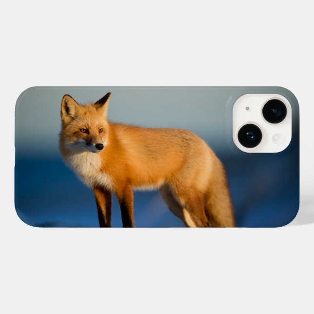 Étui pour iPhone 14 Renard Brun (Verso (horizontal))