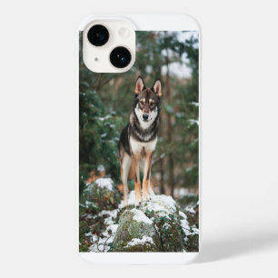 Étui pour iPhone 14 Wolfdog