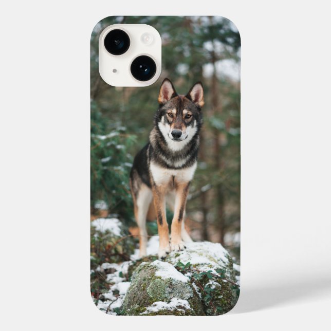 Étui pour iPhone 14 Wolfdog (Verso)