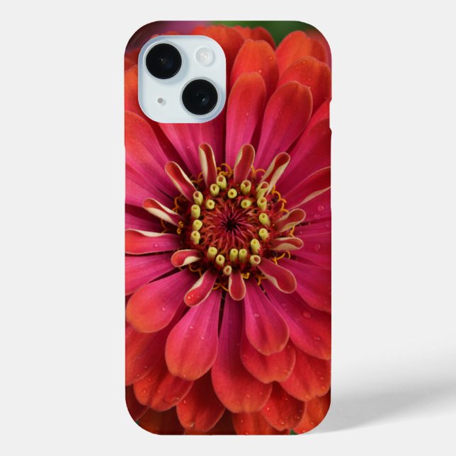 Étui pour iPhone 15 à motif zinnia rouge (Verso)