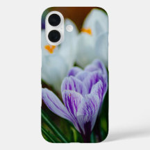 Étui pour iPhone 16 Fleurs de printemps Crocus vio