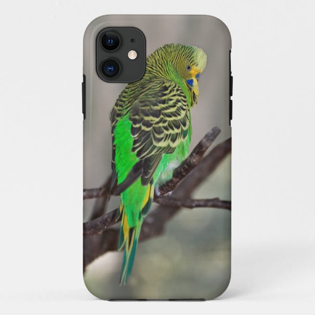 Étui pour iPhone 5 Budgie (Dos)