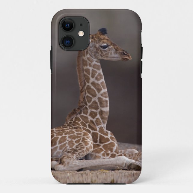 Étui pour iPhone 5 Case-Mate de girafeau (Dos)