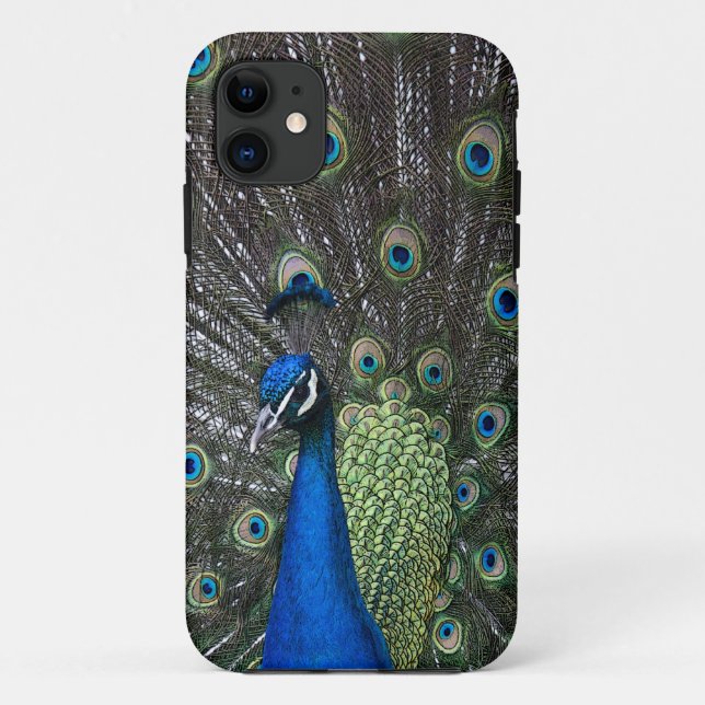 Étui pour iPhone 5 Case-Mate Painted Peacock (Dos)