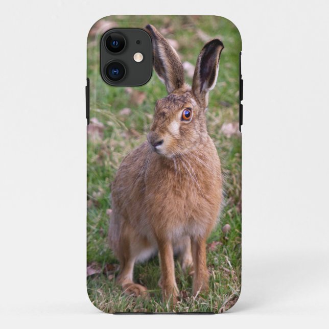 Étui pour iPhone 5 Good Hare Day (Dos)