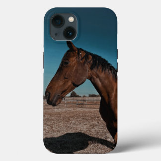 Étui pour iPhone / iPad