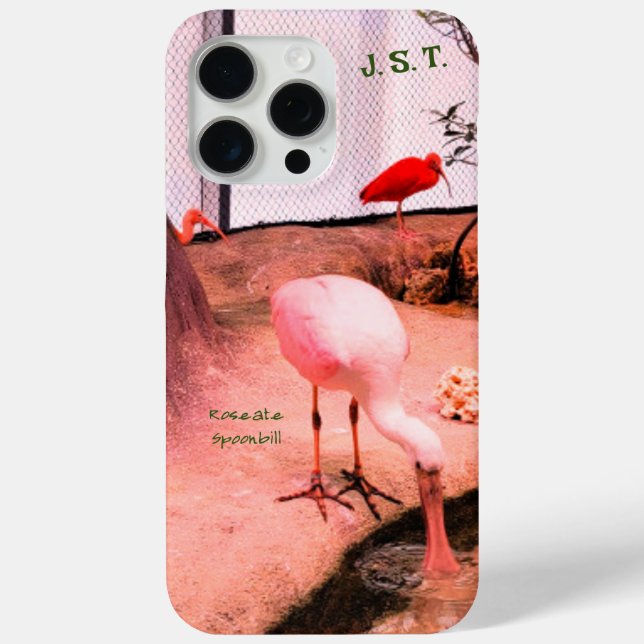 Étui pour iPhone / iPad - Oiseau Spatule rosée (Verso)