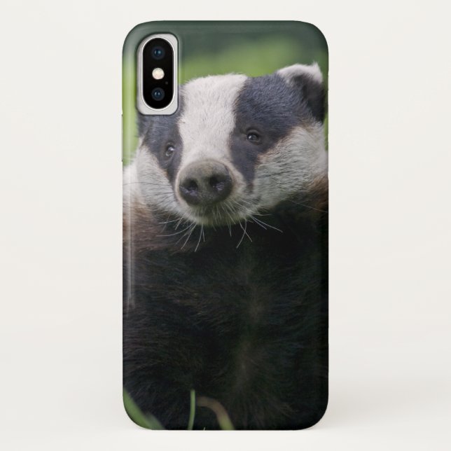 Étui pour iPhone X Badger (Dos)