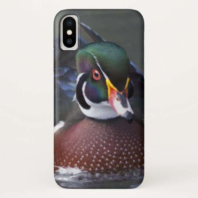 Étui pour iPhone X Canard branchu américain (Dos)