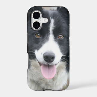 Étui pour téléphone Border Collie