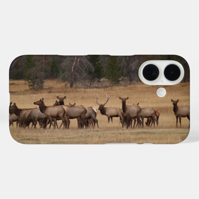 Étui pour téléphone Colorado Elk (Verso (horizontal))