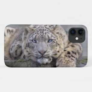Étui Vishnu Snow Leopard pour iPhone 11