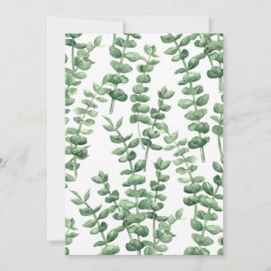 Eucalyptus 1