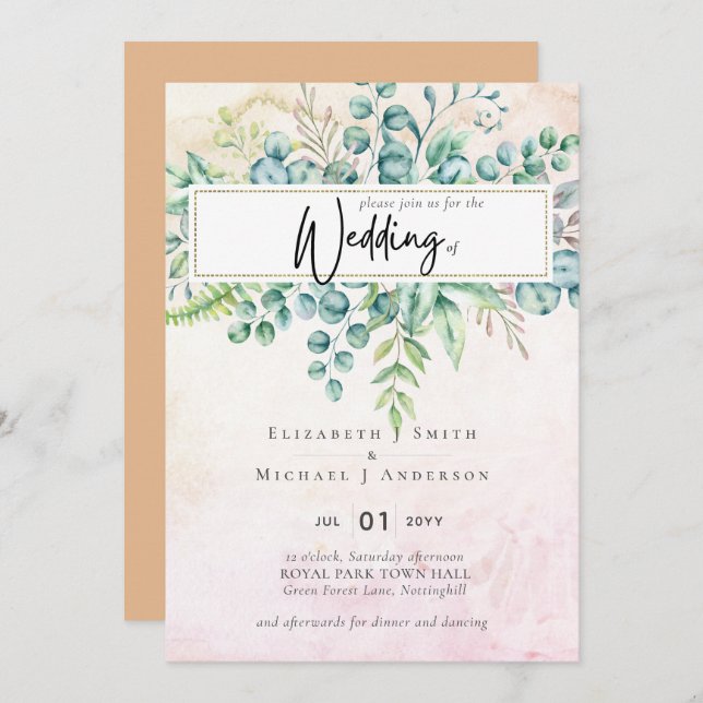 Eucalyptus de Corail Orange Plante Dusty (Devant / Derrière)