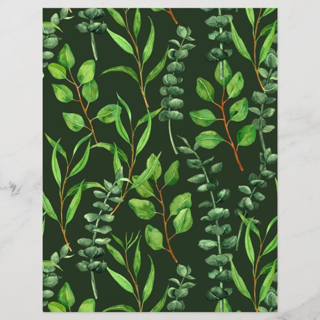 Eucalyptus sur fond vert foncé (Devant)
