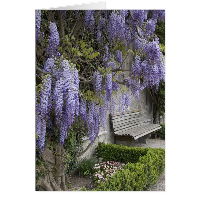 Europe, Austria, Salzbourg, Salzbourg, (Devant)