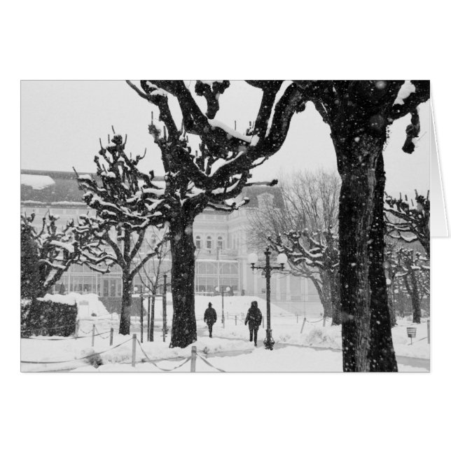 Europe, Autriche, Salzbourg. Hiver, (Devant horizontal)