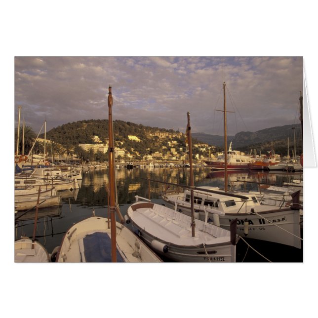 Europe, Espagne, Baléares, Majorque, Port de (Devant horizontal)