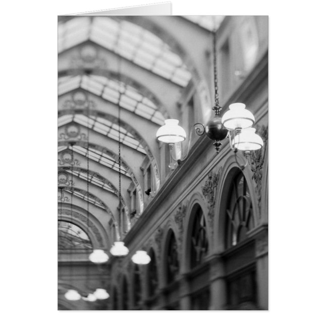 Europe, France, Paris. Intérieur, Galerie (Devant)