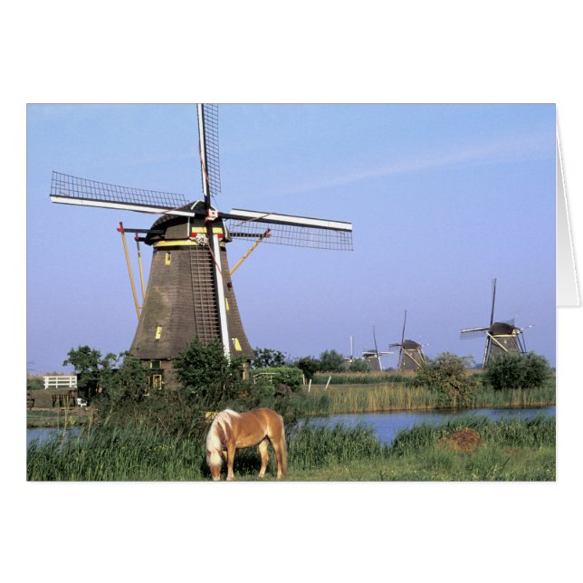 Europe, Pays-Bas, Zuid Holland, Kinderdijk. 2 (Devant horizontal)