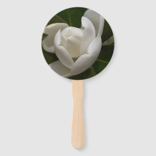 Éventail bourgeon de fleur de magnolia du sud blanc