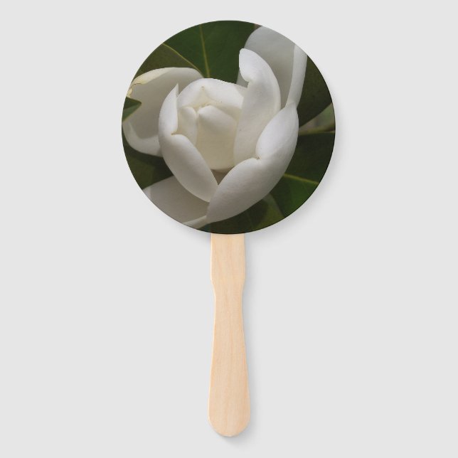 Éventail bourgeon de fleur de magnolia du sud blanc (Devant)