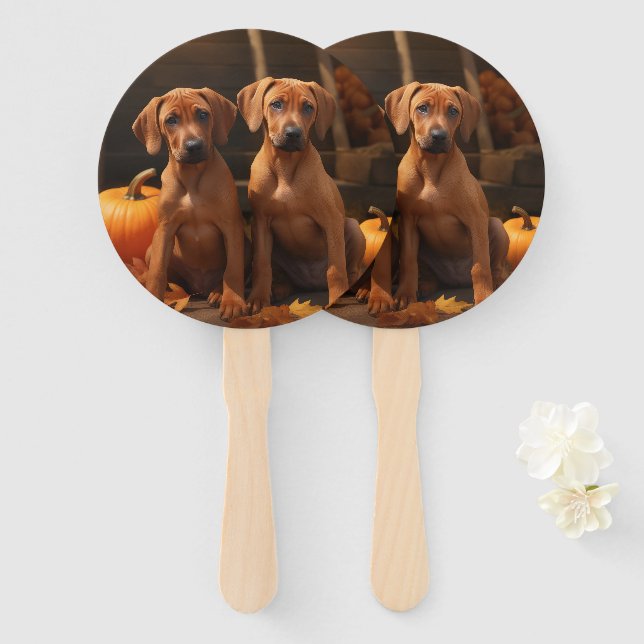 Éventail Chiots Rhodesian Ridgeback Autumn Delight Pumpkin  (Devant et derrière)