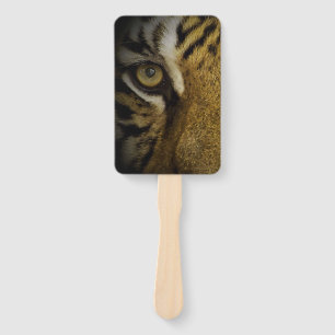 Éventail Dans l'oeil d'un tigre