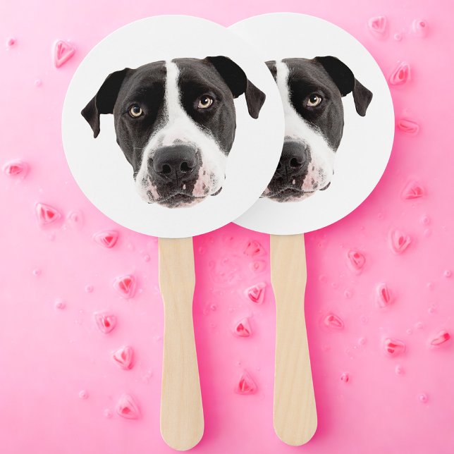 Éventail Fête de bachelorette Coupe de chien à visage perso (Créateur téléchargé)