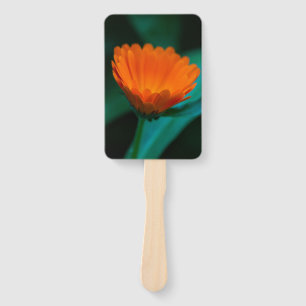 Éventail Fleur de marguerite orange