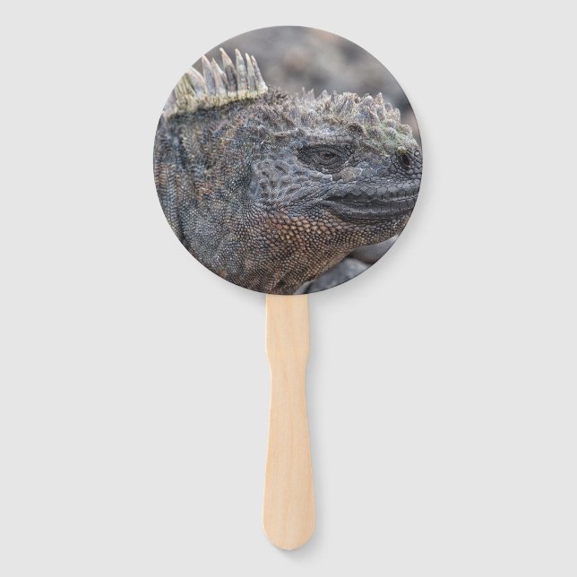 Éventail Marine Iguana (Devant)