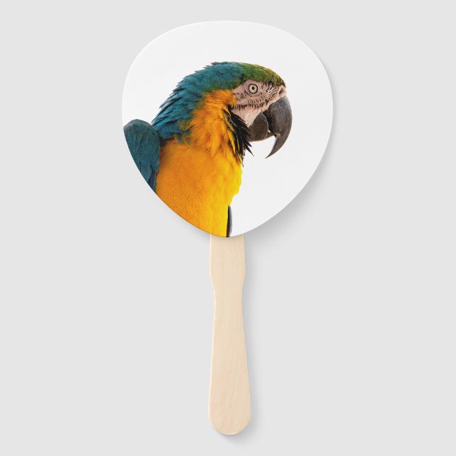 Éventail Parrot coloré (Devant)