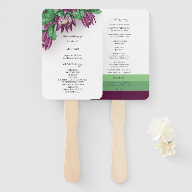 Éventail Protea King Protea (Devant et derrière)