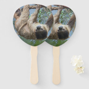 Éventail Sloth Photo