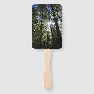 Éventail Sunlight Through Pine Trees