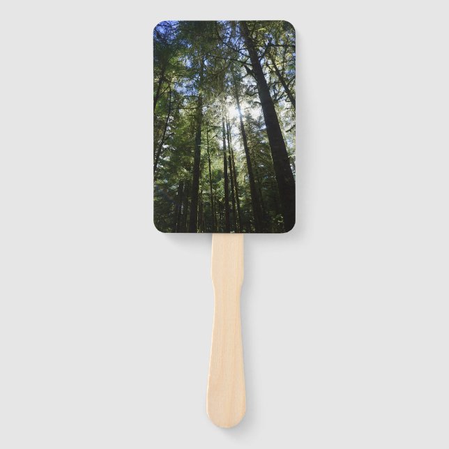 Éventail Sunlight Through Pine Trees (Devant)